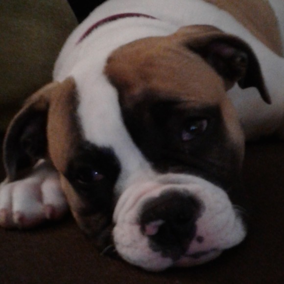 Meet your Posher, Courtney - Picture 1 of 1